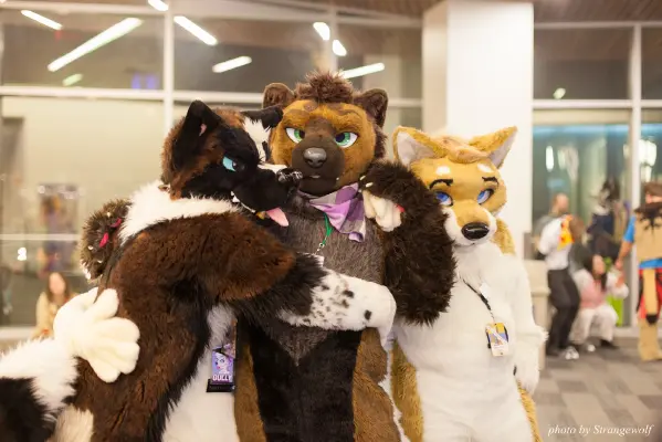 IMG_1210-lr16t.jpg of FC/FC2017/