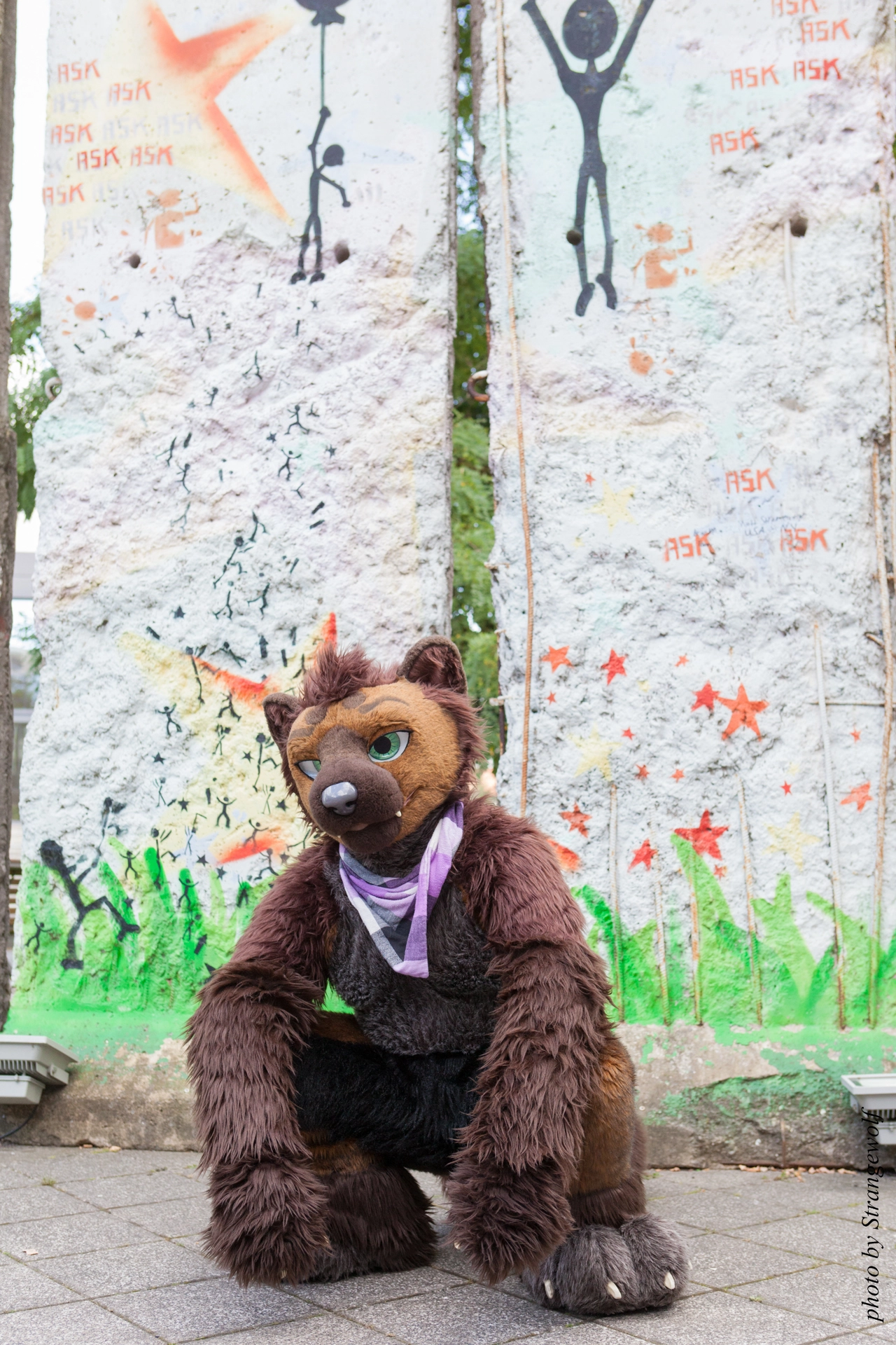 full image IMG_7123-lr19t.jpg
