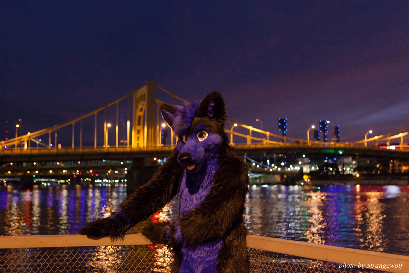 full image IMG_8450-lr16t.jpg