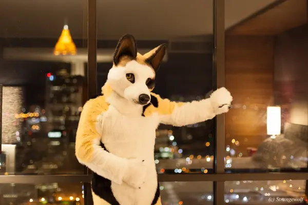 IMG_2118-lr19t.jpg of FWA/FWA2018/