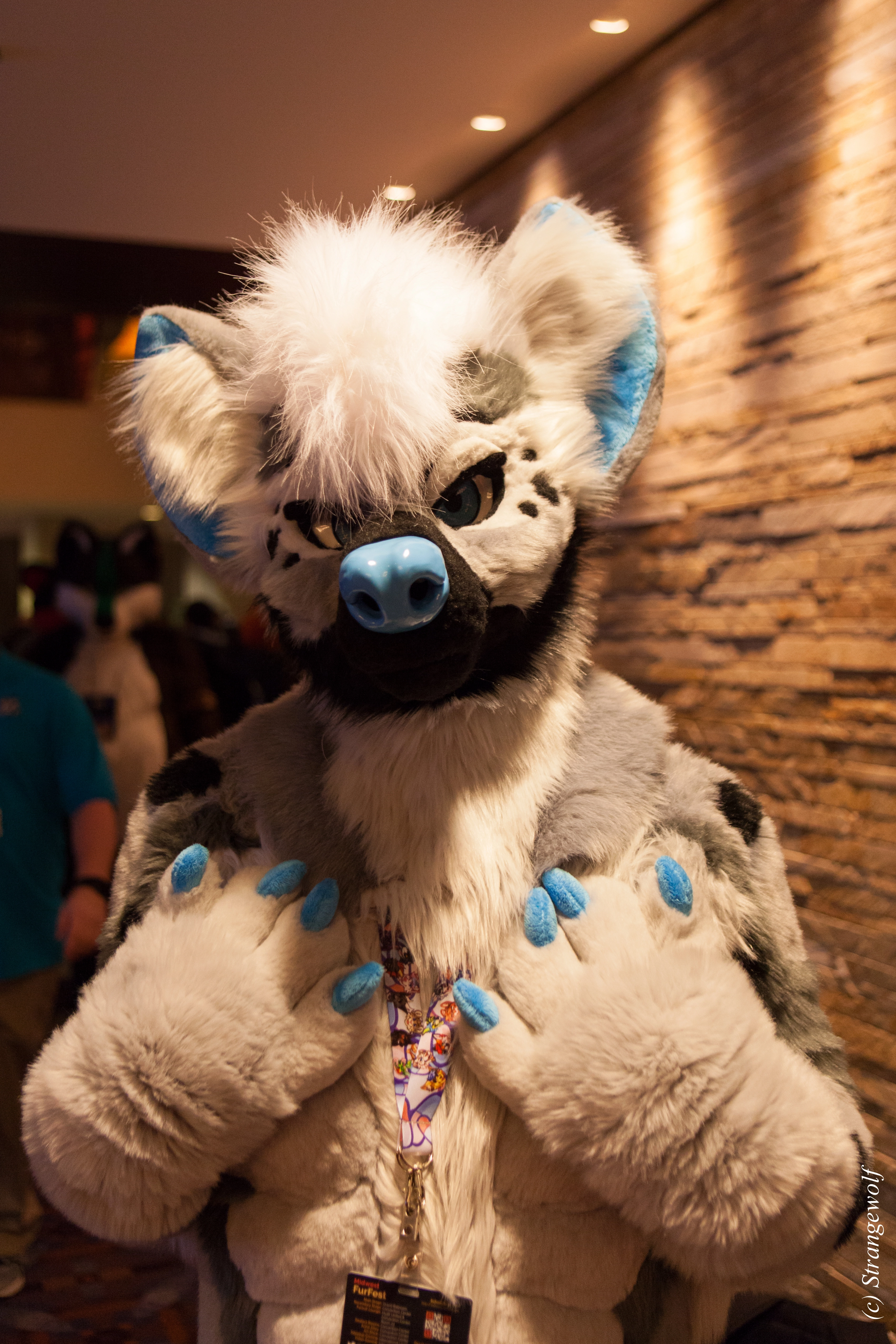 full image IMG_1554-lr.jpg