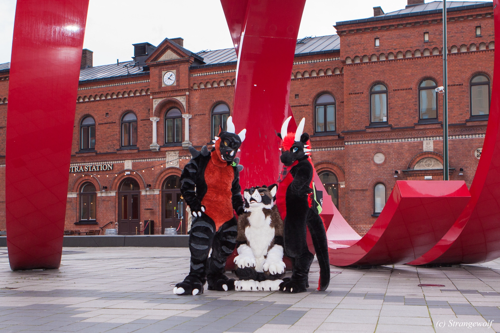 full image IMG_8983-lr19t.jpg