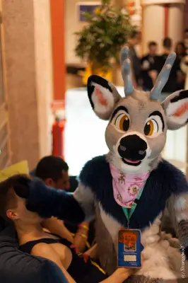 IMG_9766-lr19t.jpg of NFC/NFC2019/