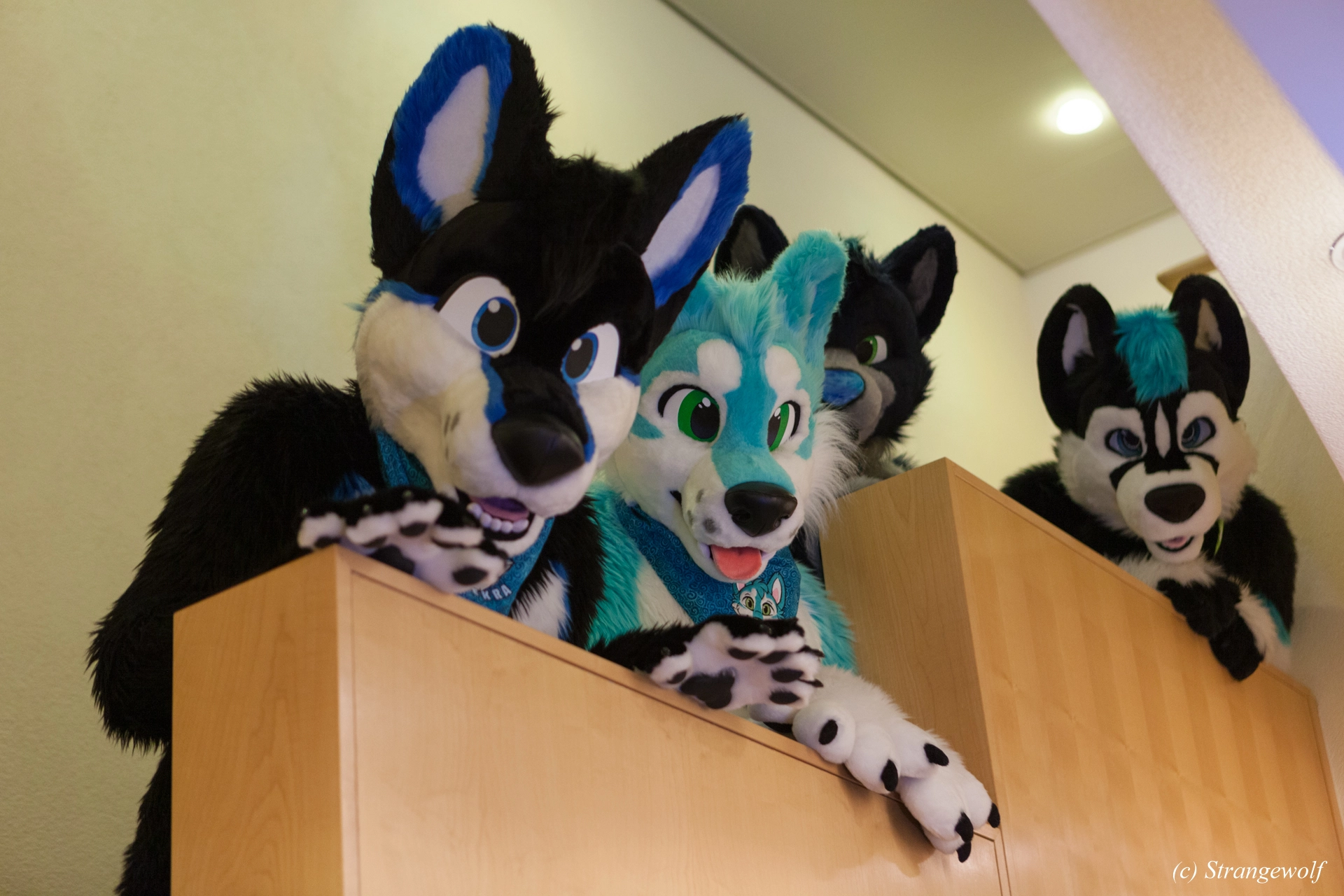 full image IMG_6970-lr19t.jpg