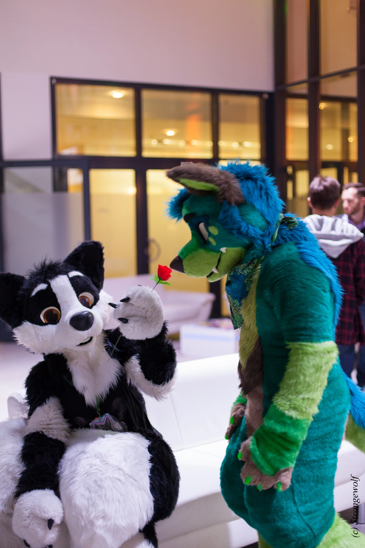 full image IMG_5390-lr19t.jpg