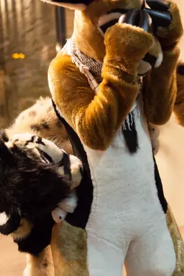 IMG_6997-lr19t.jpg of MFF/MFF2018/