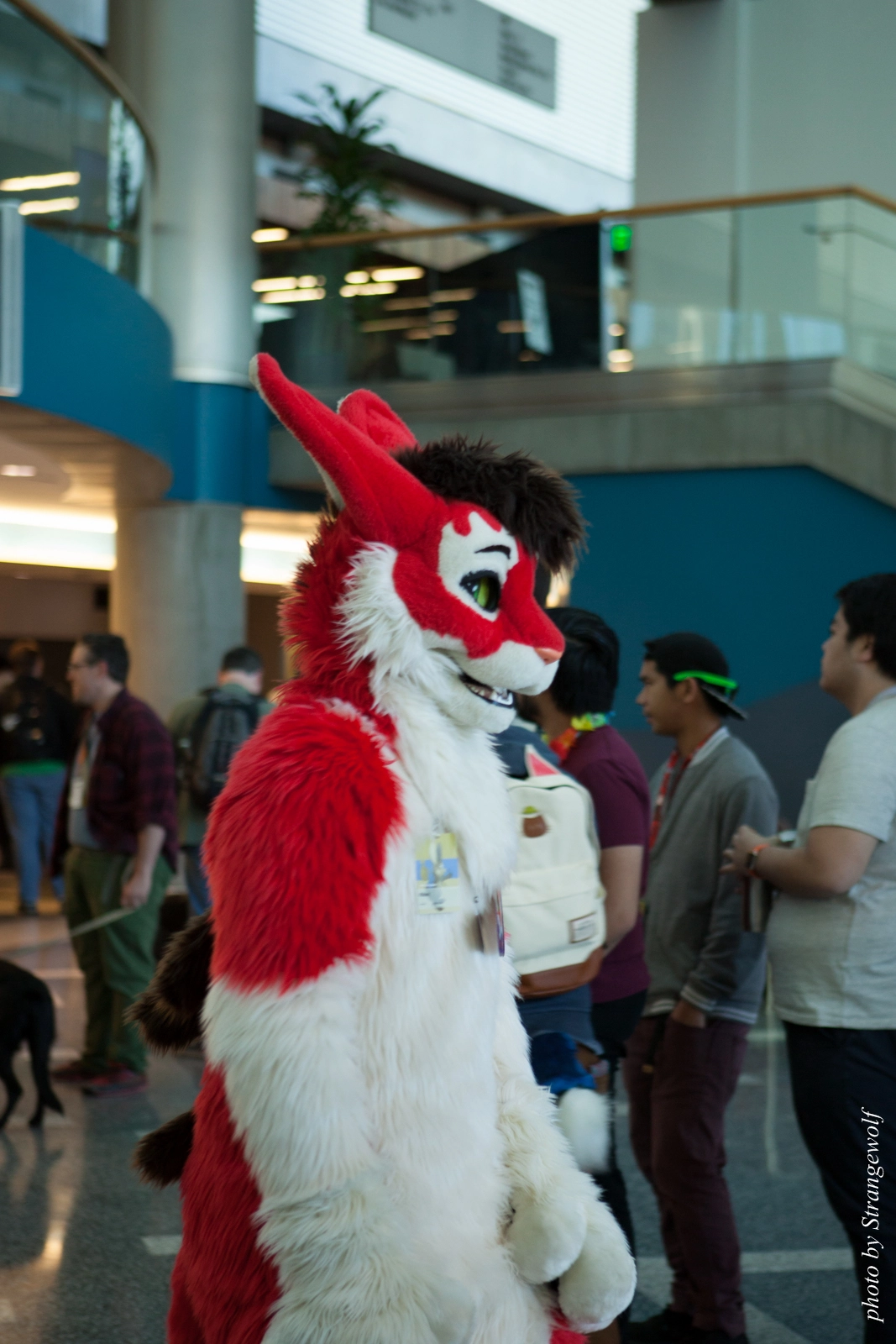 full image IMG_1058-lr16t.jpg