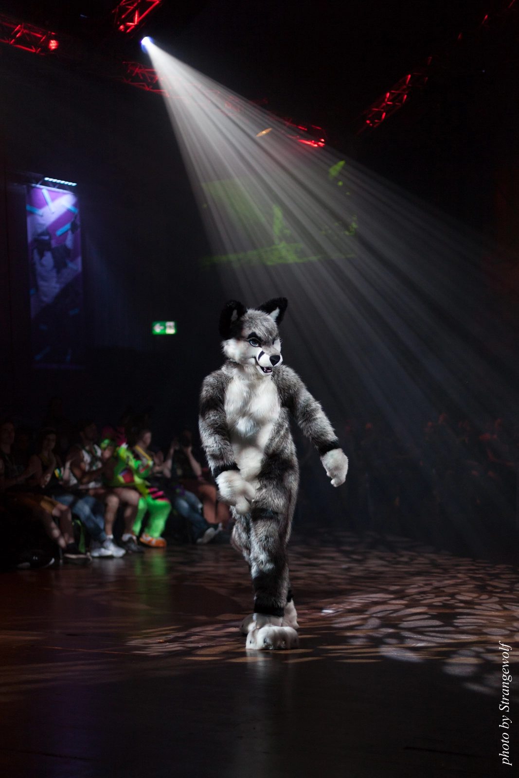 full image IMG_9260-lr16t.jpg