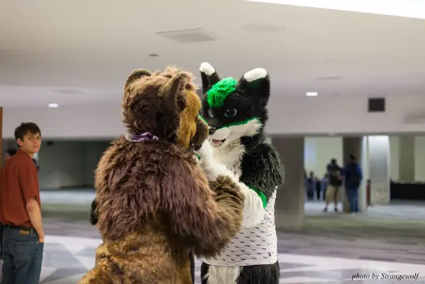 IMG_1152-lr16t.jpg of FC/FC2017/