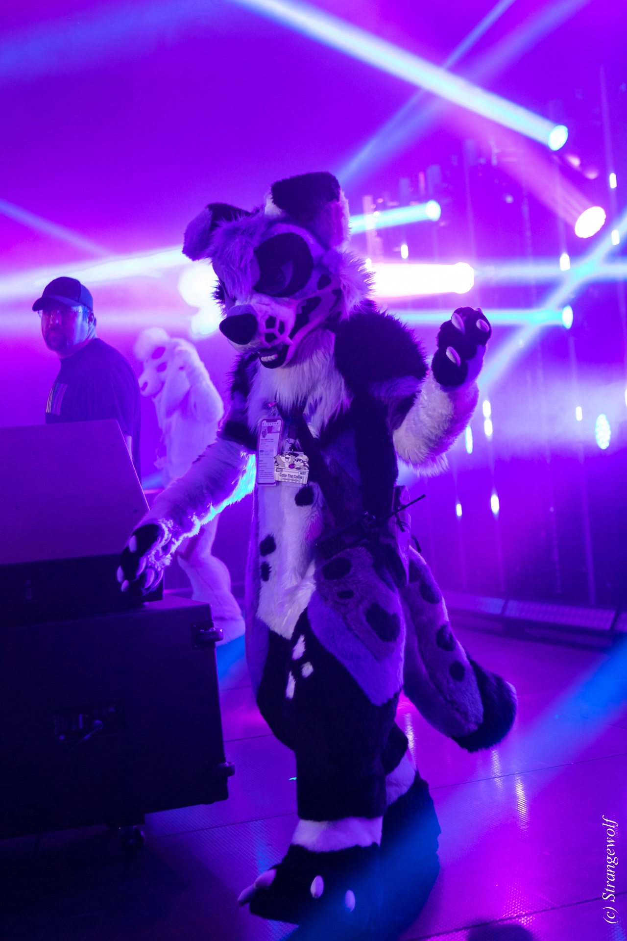 full image 1R3A5485-lr19t.jpg