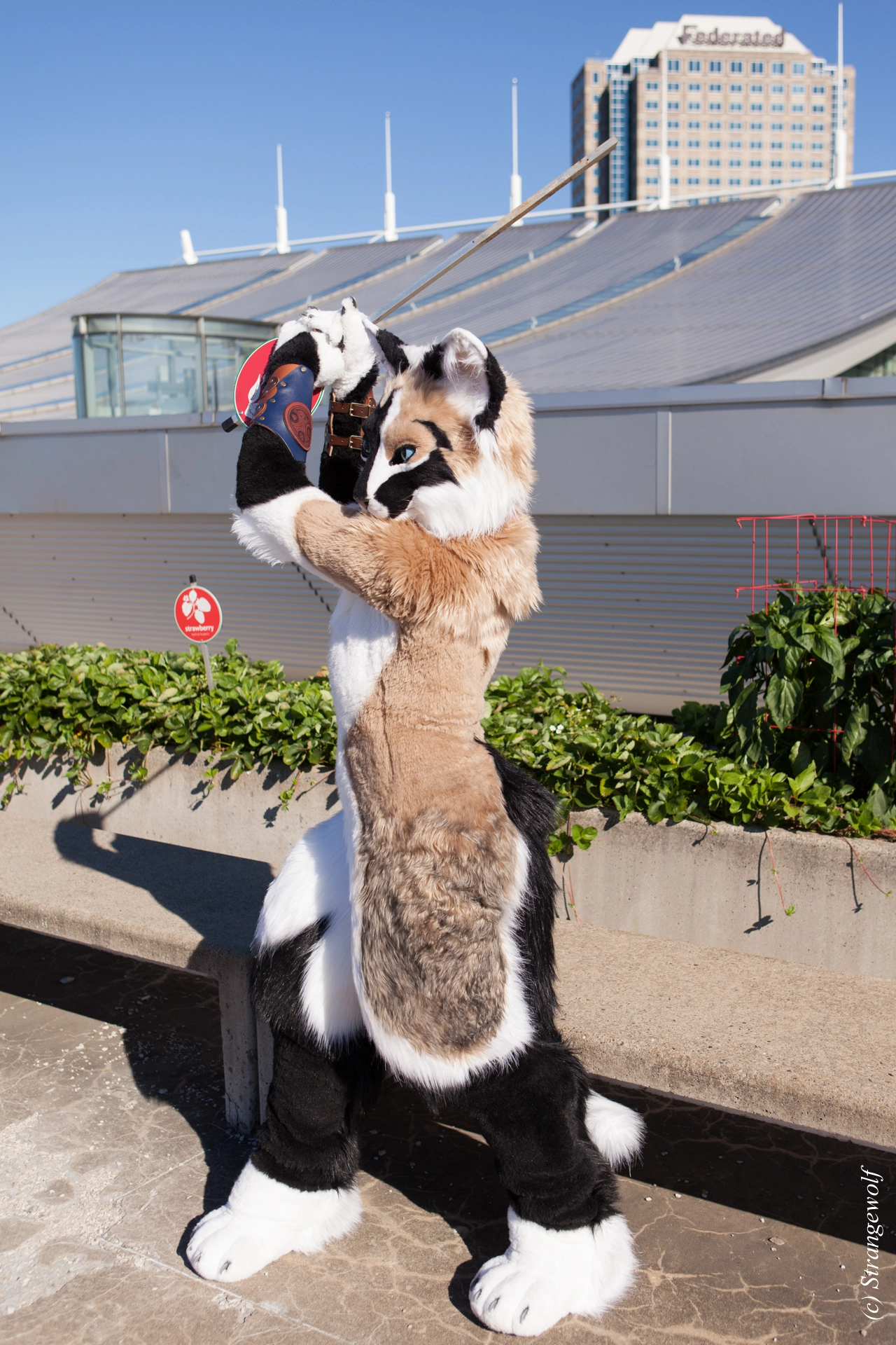 full image IMG_4341-lr19t.jpg
