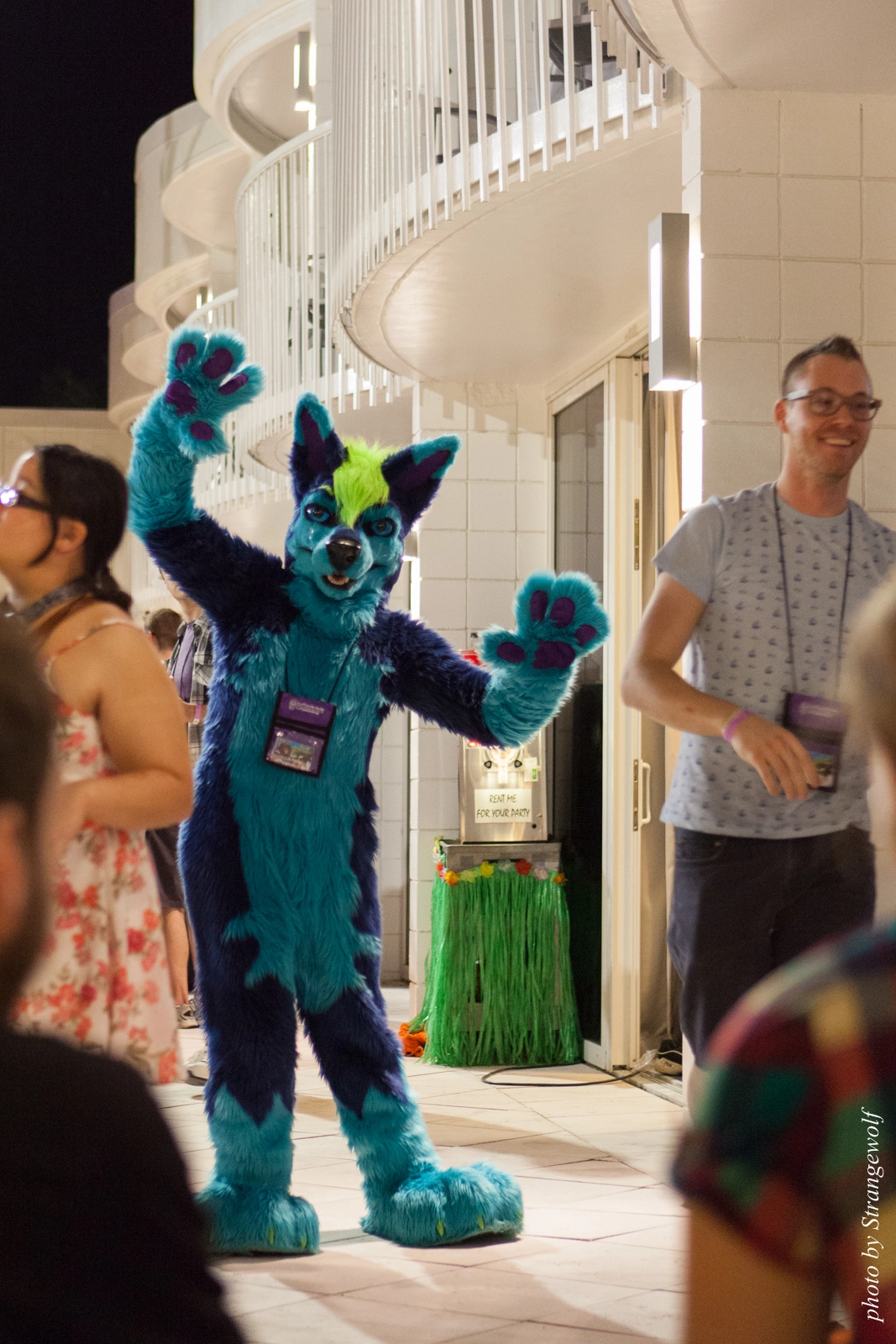 full image IMG_8040-lr16t.jpg