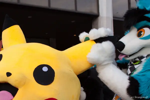 IMG_4579-lr19t.jpg of HCFC/HCFC2019/