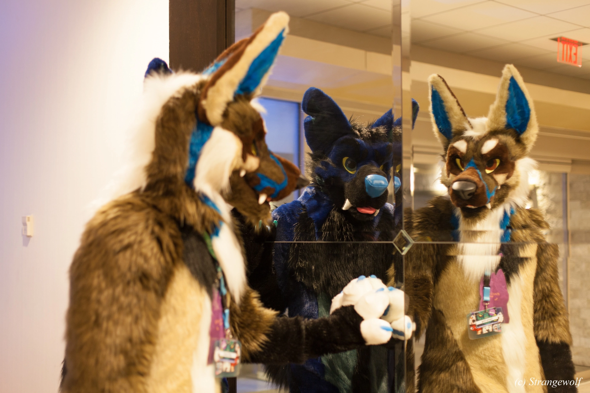 full image IMG_1430-lr19t.jpg