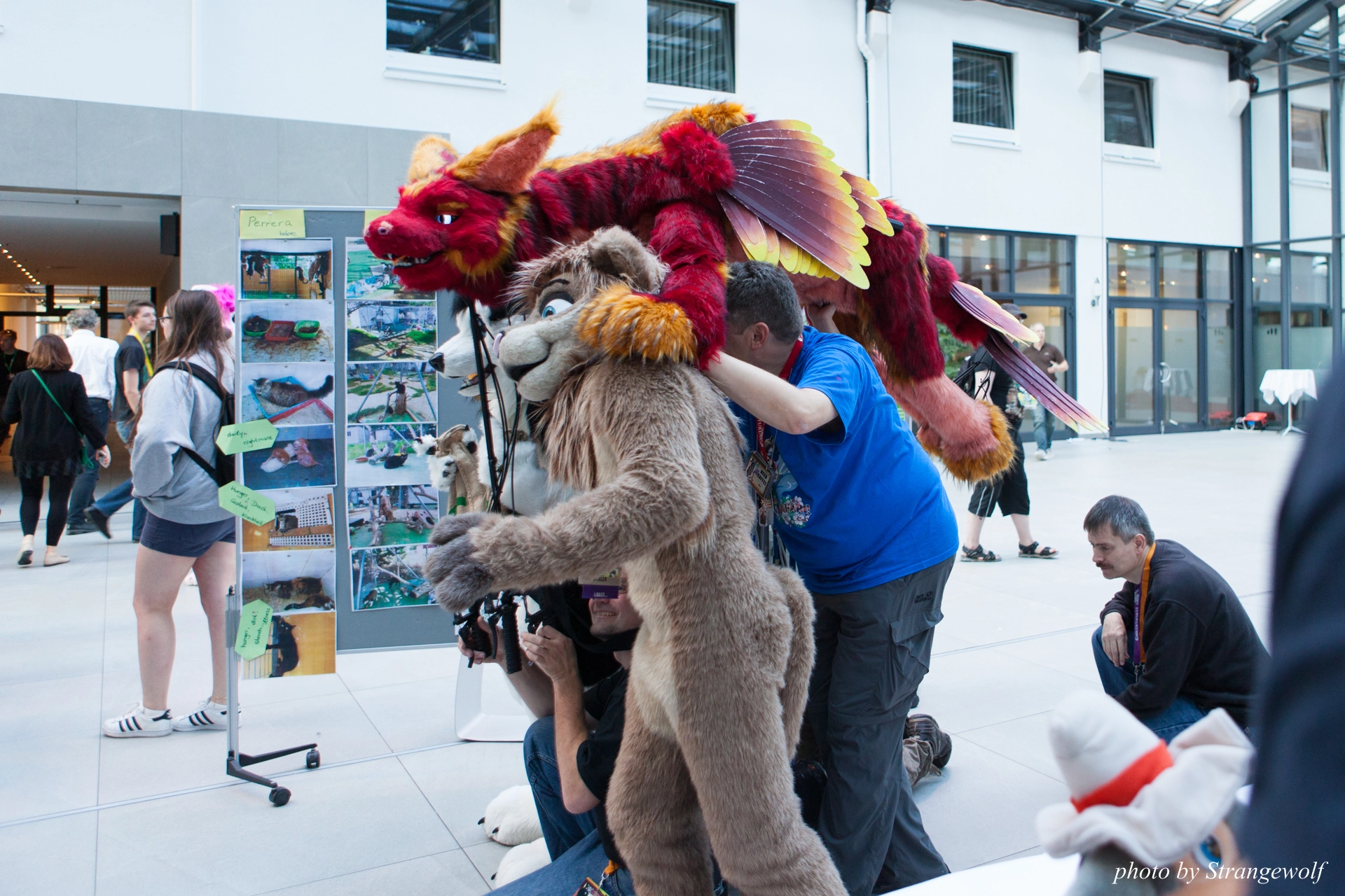 full image IMG_7368-lr19t.jpg