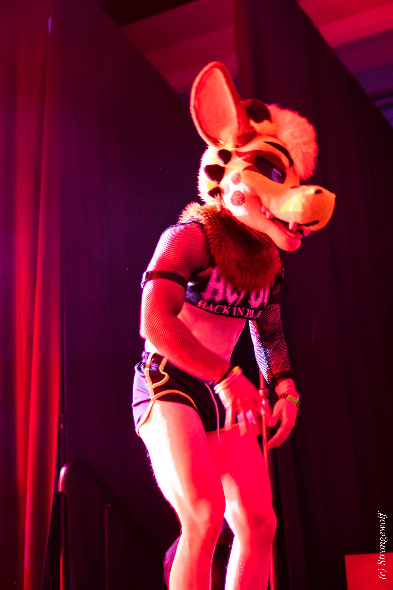 full image 1R3A6605-lr19t.jpg