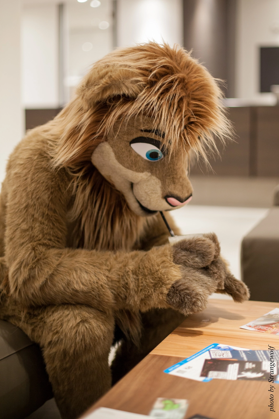 full image IMG_6626-lr16t.jpg