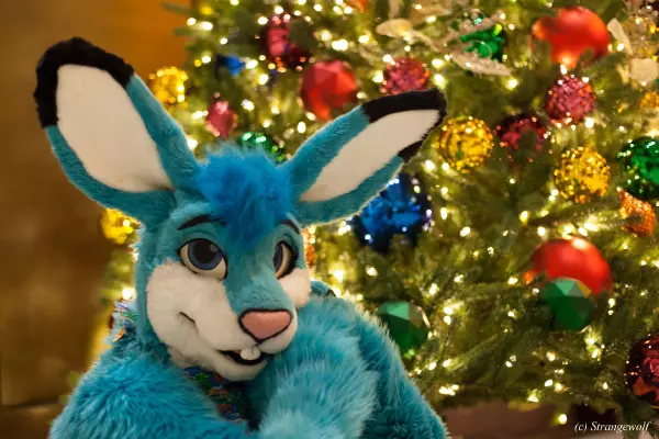 IMG_1869-lr19t.jpg of MFF/MFF2021/