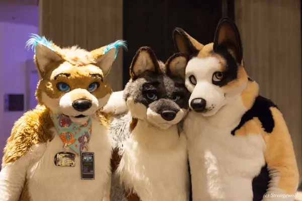 IMG_1633-lr19t.jpg of FWA/FWA2018/