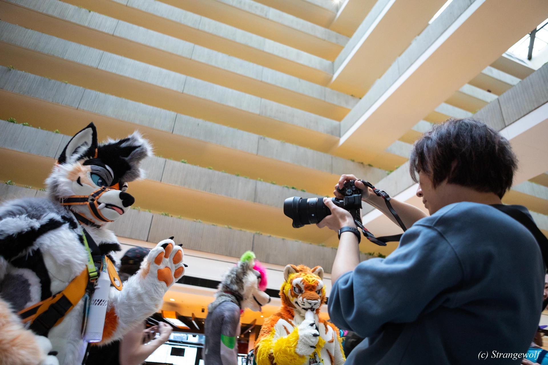 full image 1R3A0218-lr19t.jpg