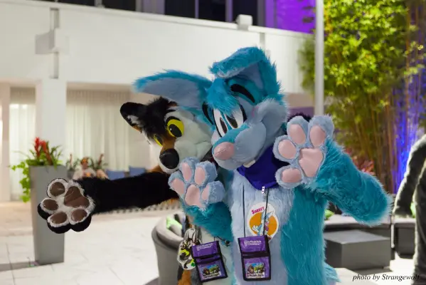 IMG_8508-lr16t.jpg of ESG/ESG2015/