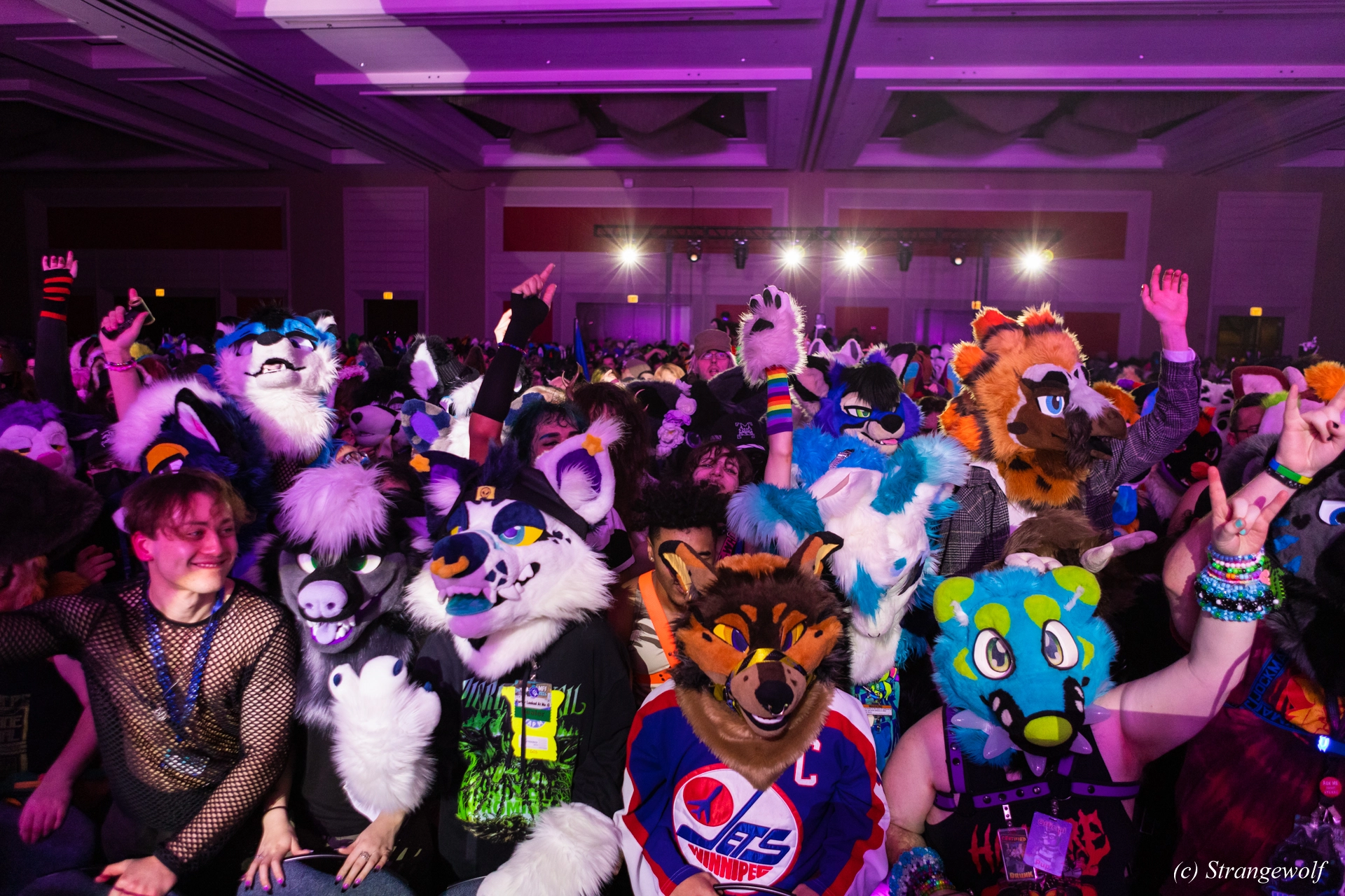 full image 1R3A6525-lr19t.jpg