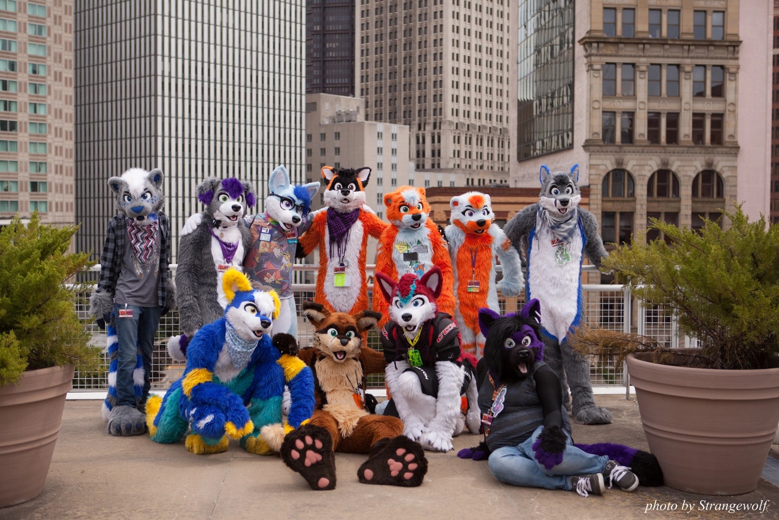 full image IMG_8200-lr16t.jpg