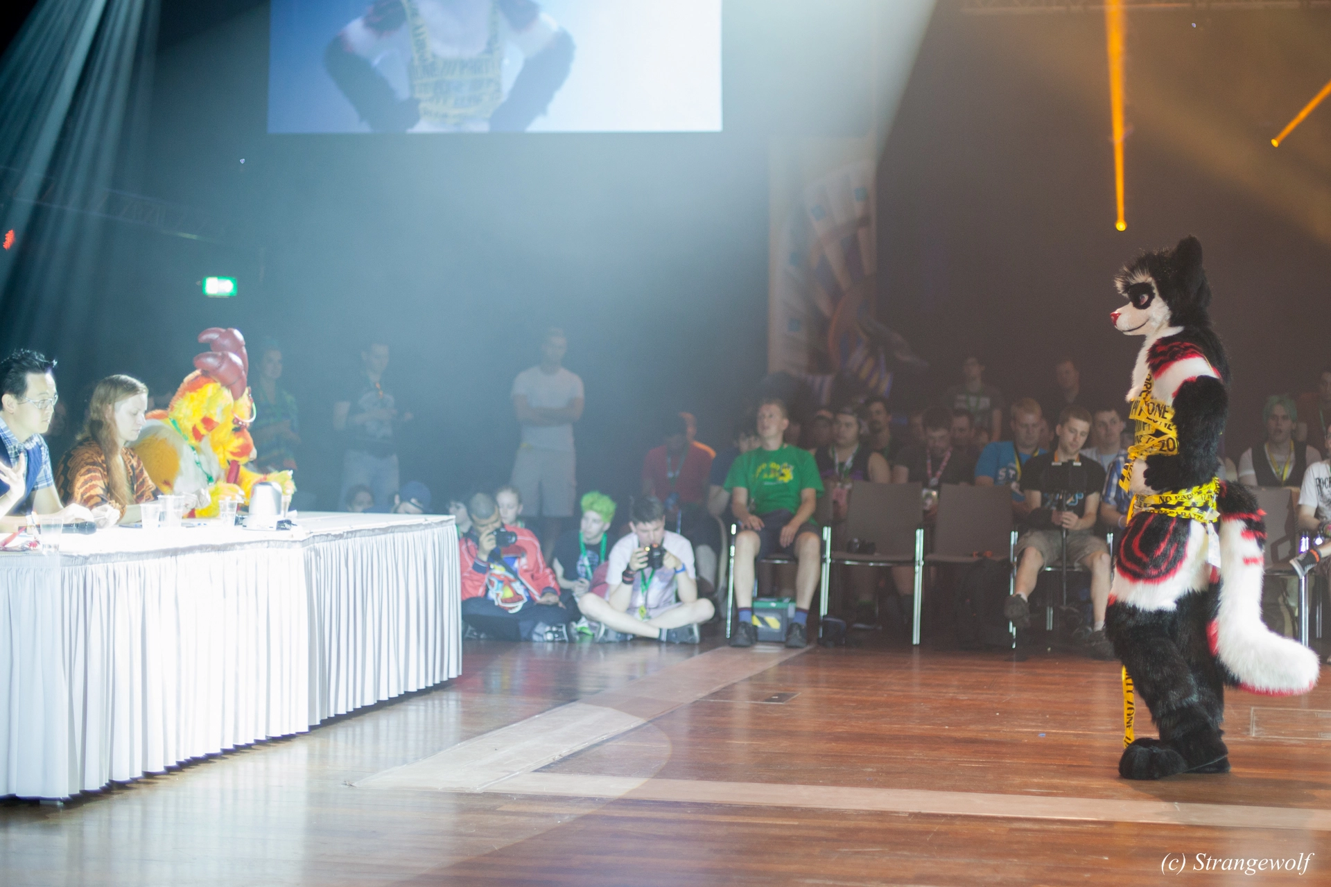 full image IMG_6622-lr19t.jpg