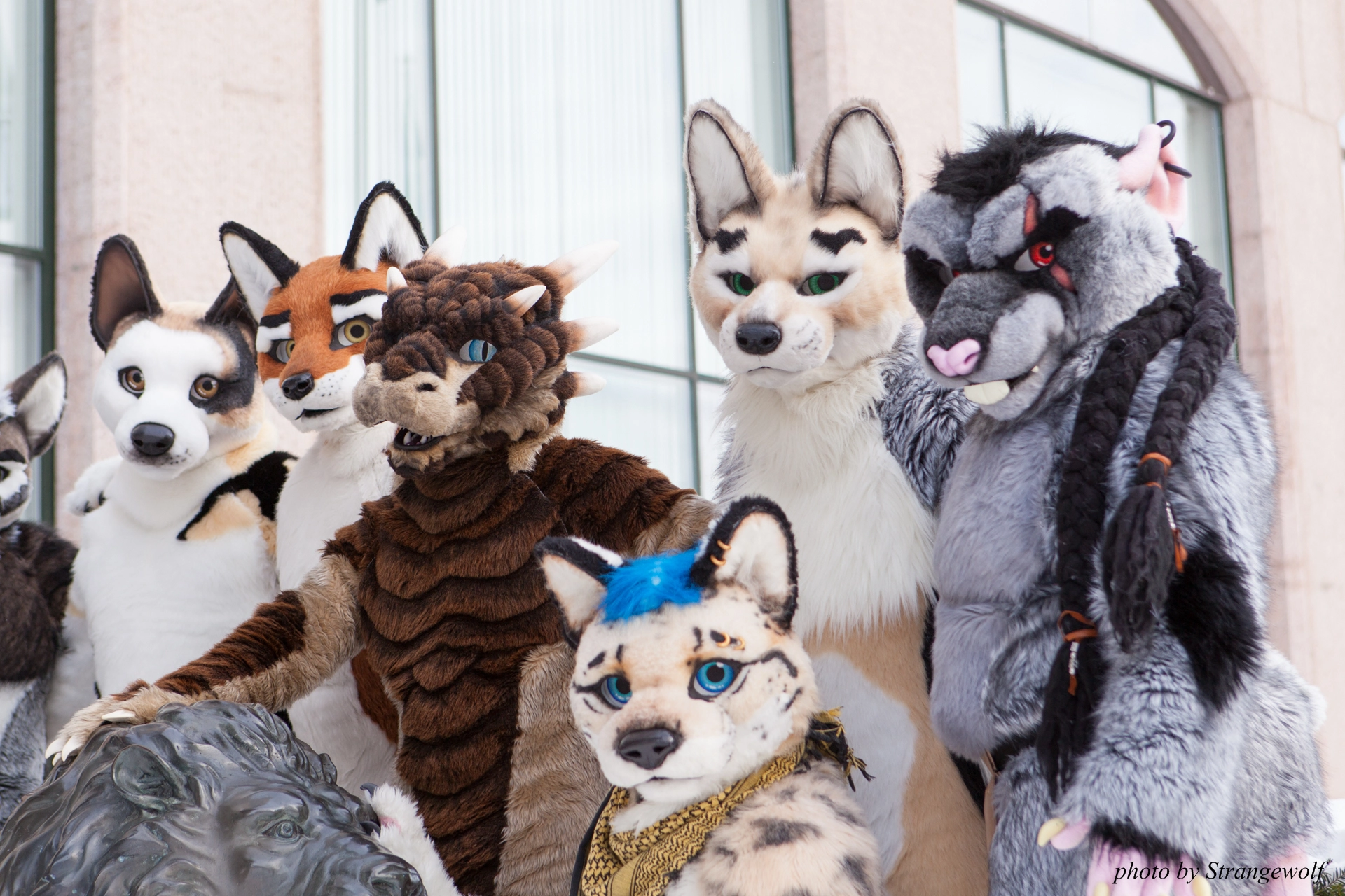 full image IMG_0296-lr19t.jpg