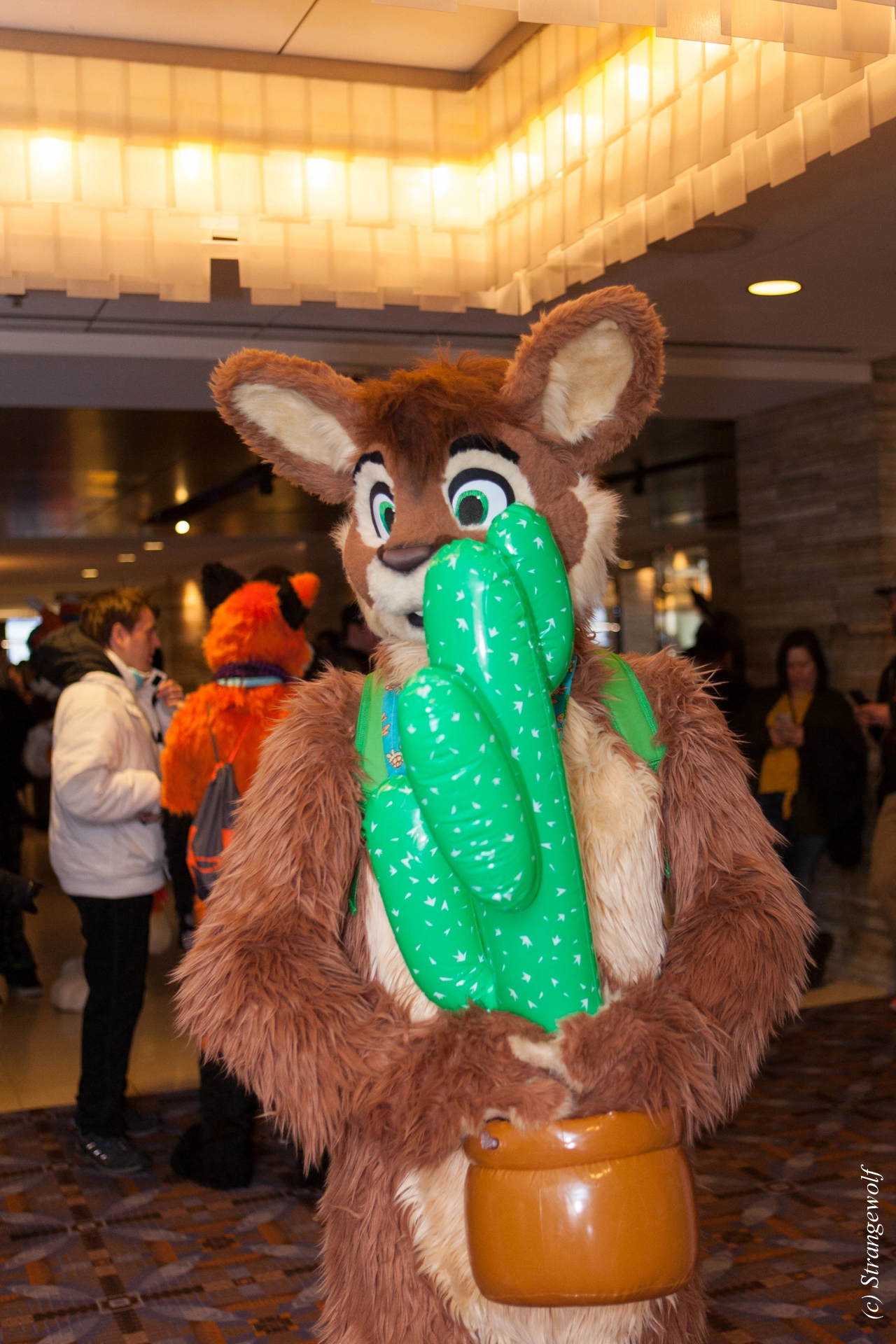 full image IMG_7414-lr19t.jpg