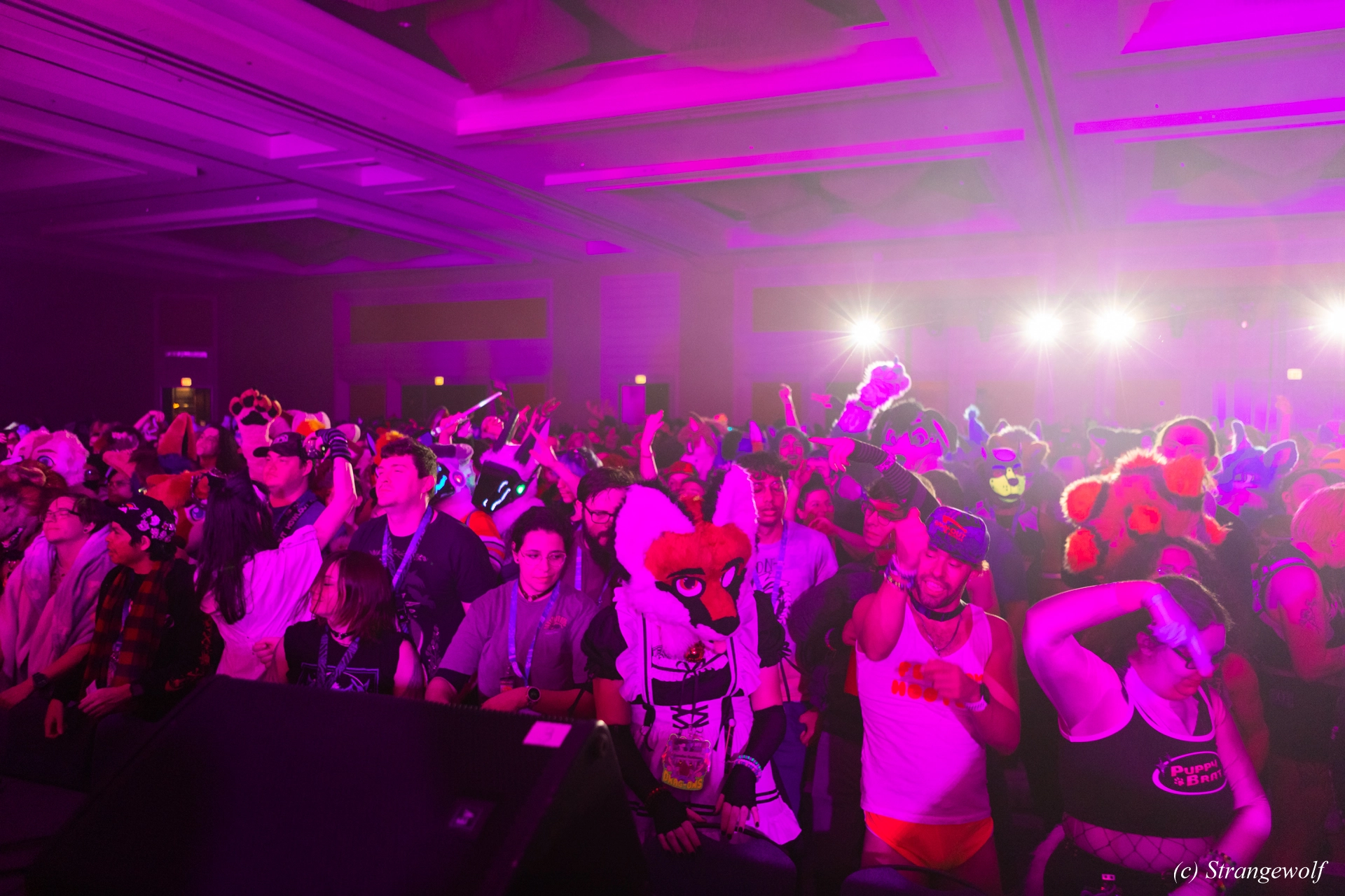 full image 1R3A5290-lr19t.jpg