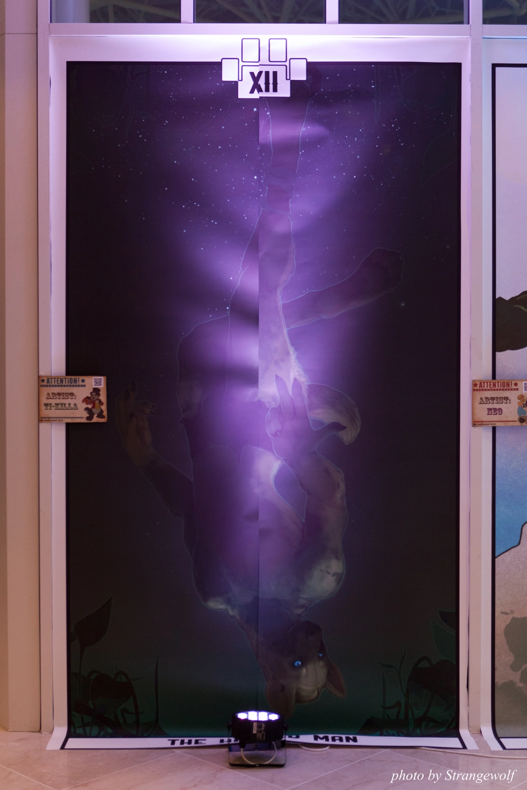 full image IMG_7225-lr16t.jpg