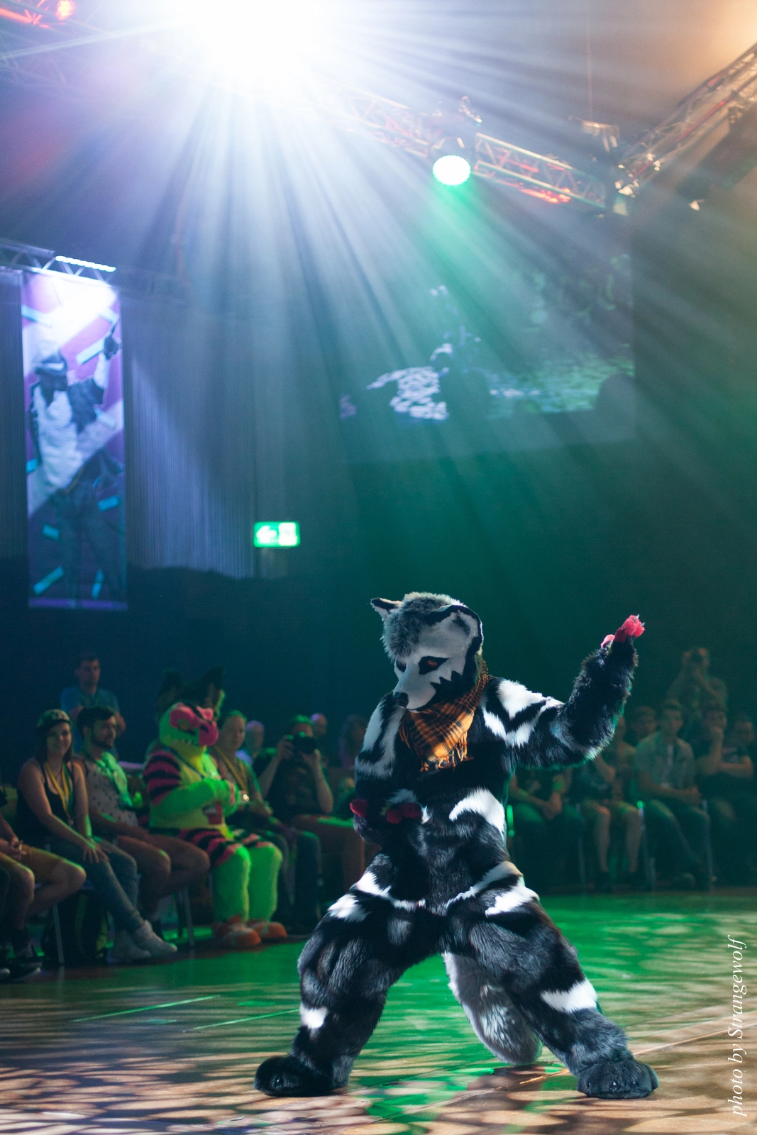 full image IMG_9771-lr16t.jpg