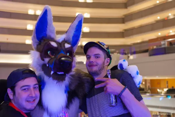 IMG_1313-lr19t.jpg of FWA/FWA2018/