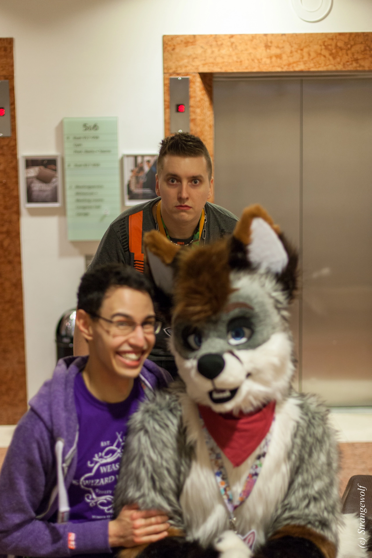 full image IMG_0776-lr19t.jpg