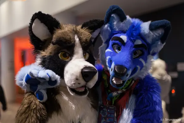 IMG_9154-lr19t.jpg of NFC/NFC2020/