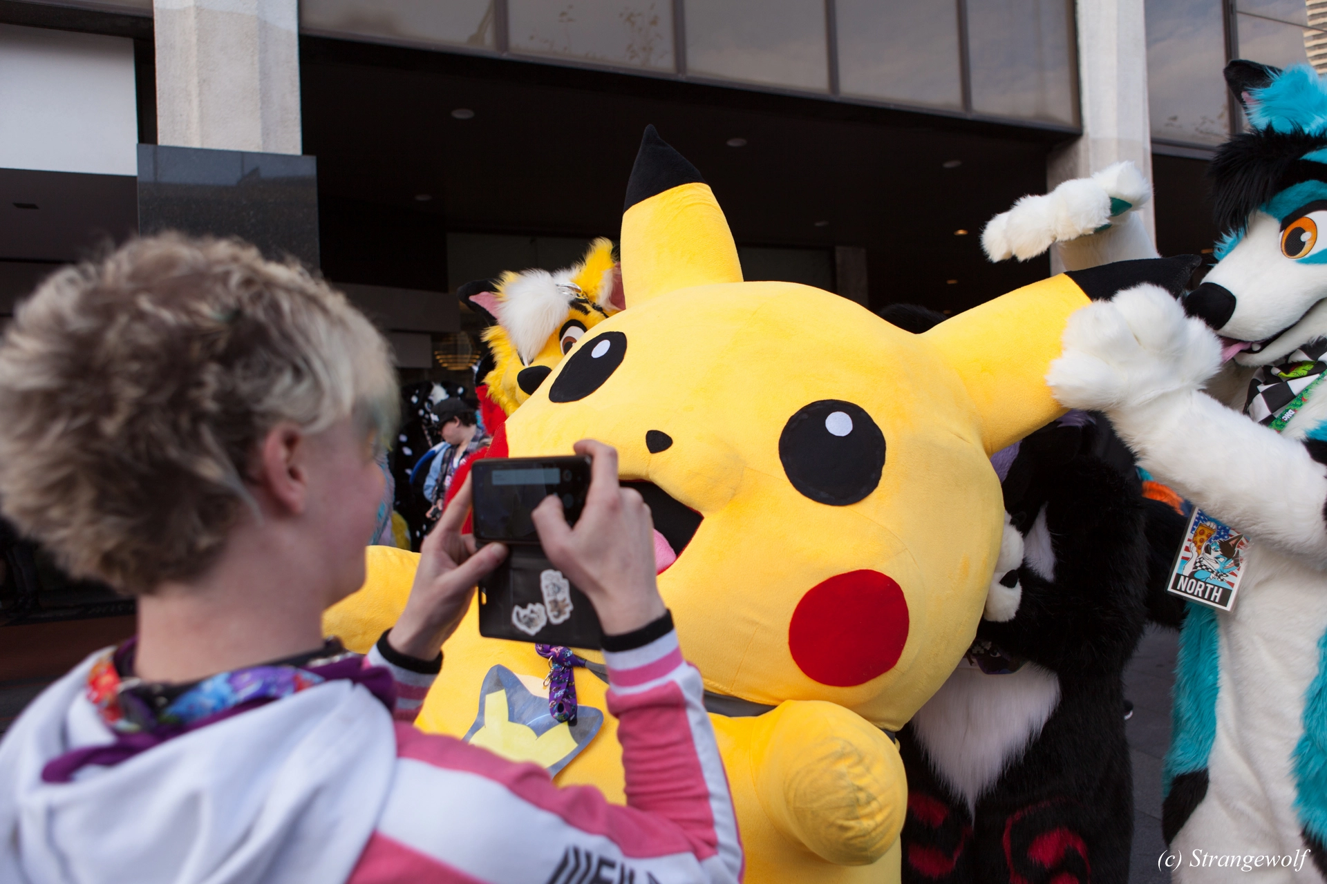 full image IMG_4578-lr19t.jpg