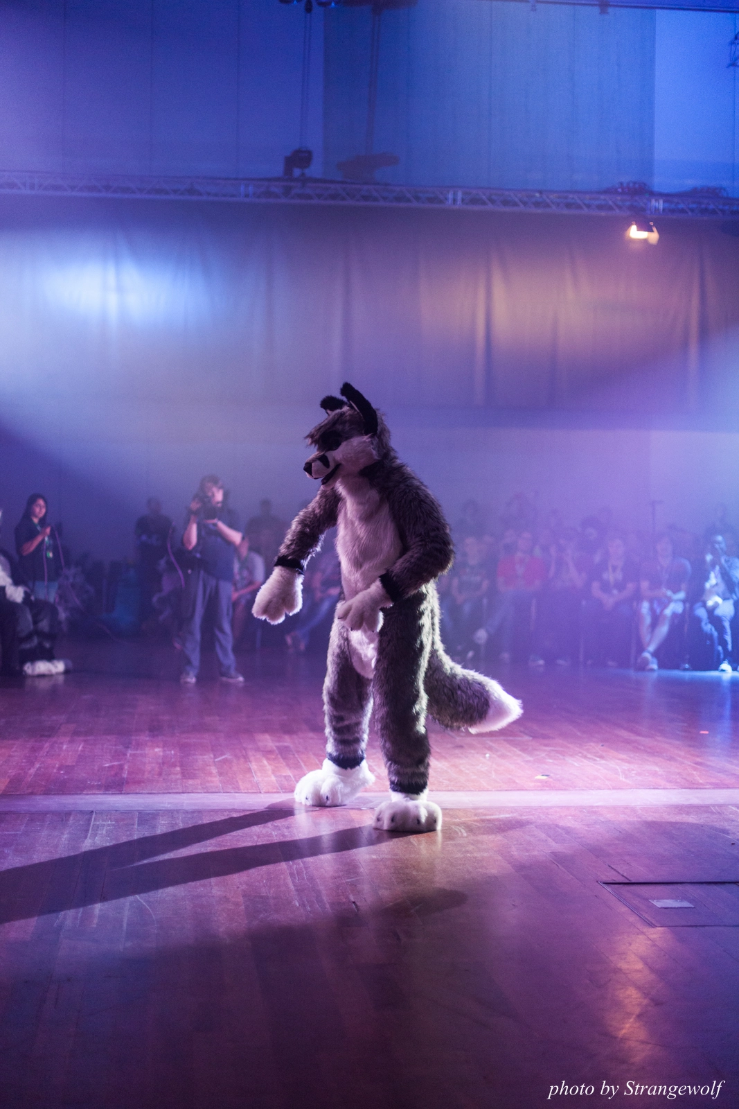 full image IMG_2944-lr16t.jpg