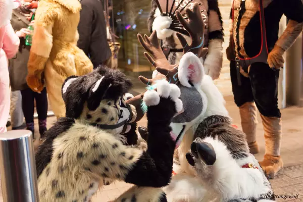 IMG_6876-lr19t.jpg of MFF/MFF2018/