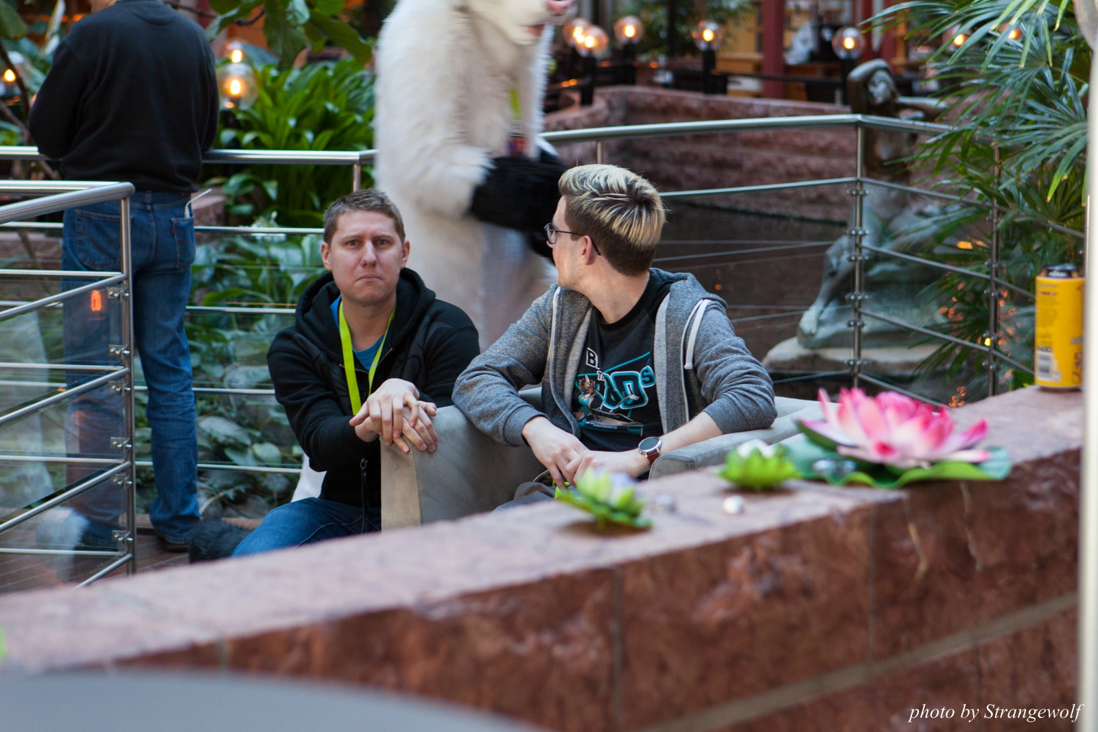 full image IMG_2098-lr16t.jpg