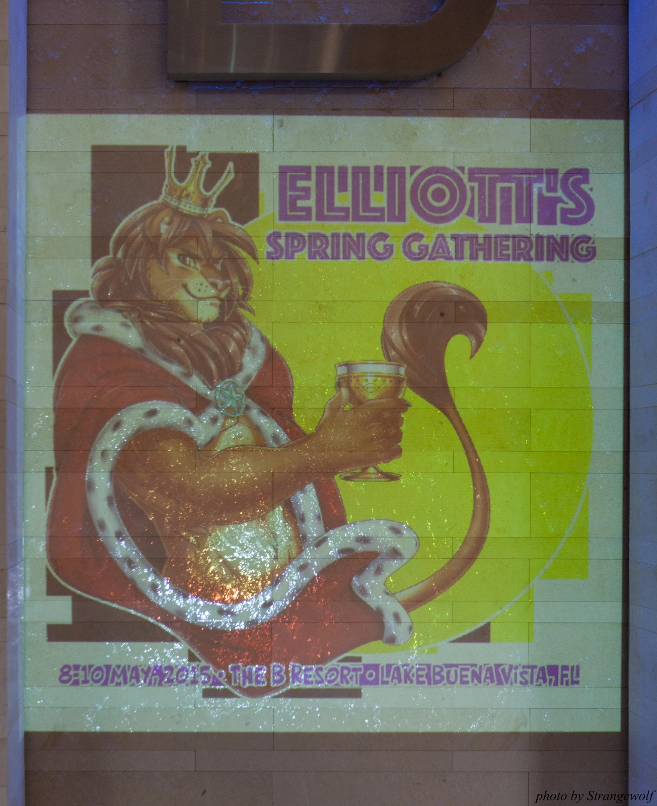 full image IMG_7987-lr16t.jpg