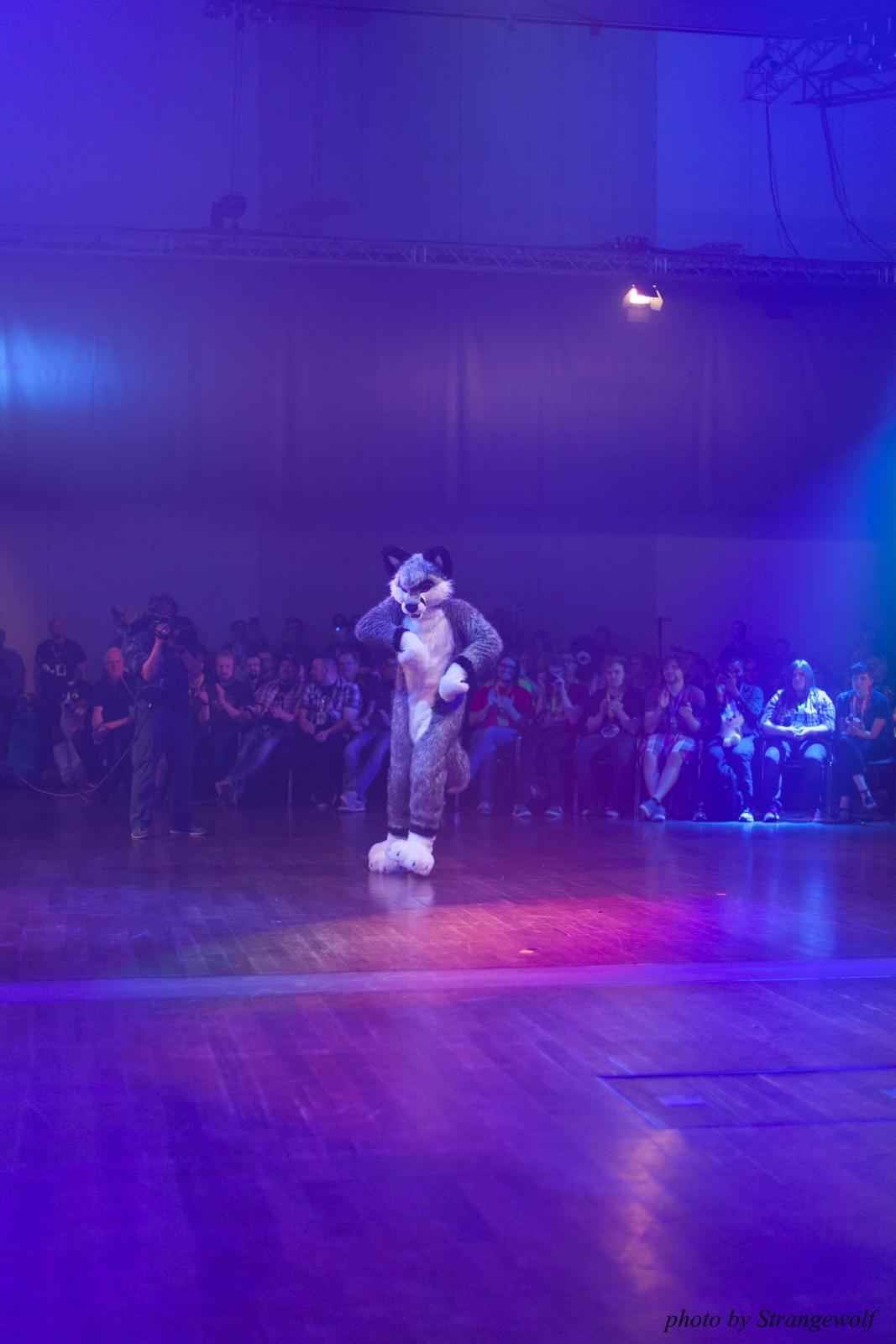 full image IMG_2926-lr16t.jpg