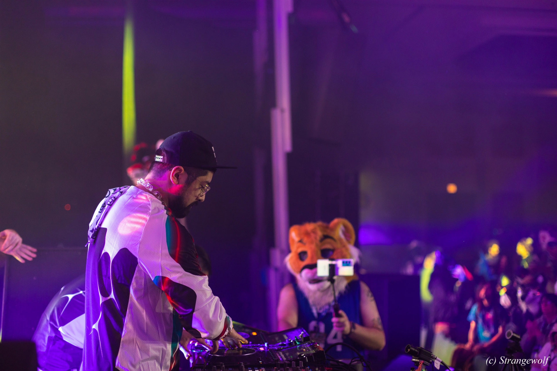 full image 1R3A5856-lr19t.jpg