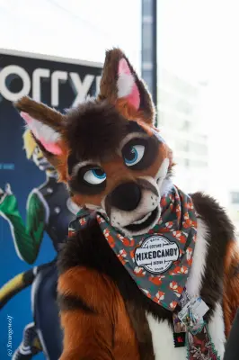 IMG_4757-lr19t.jpg of EF/EF24/