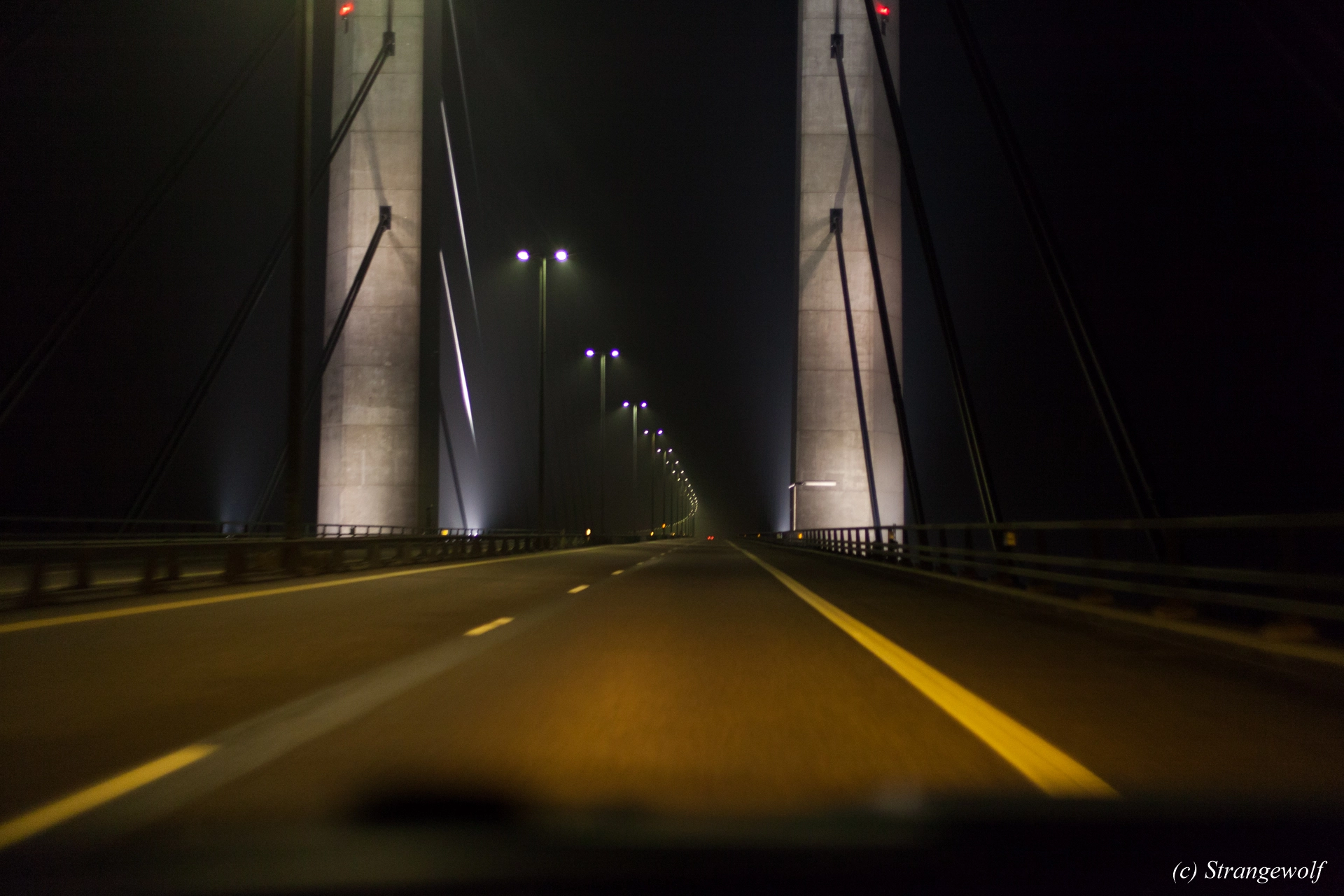 full image IMG_8513-lr19t.jpg