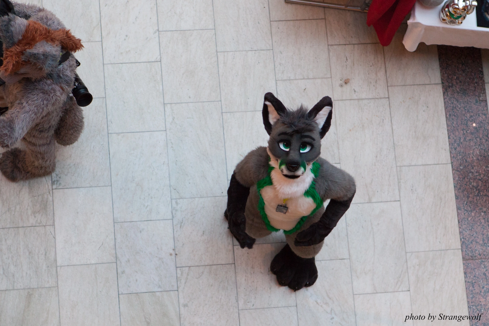 full image IMG_1530-lr16t.jpg