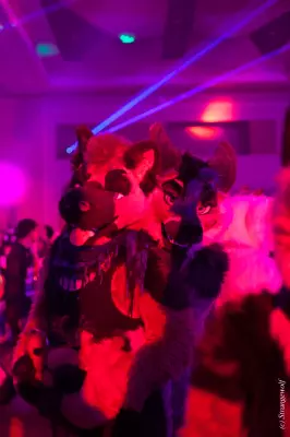 IMG_7985-lr19t.jpg of MFF/MFF2019/