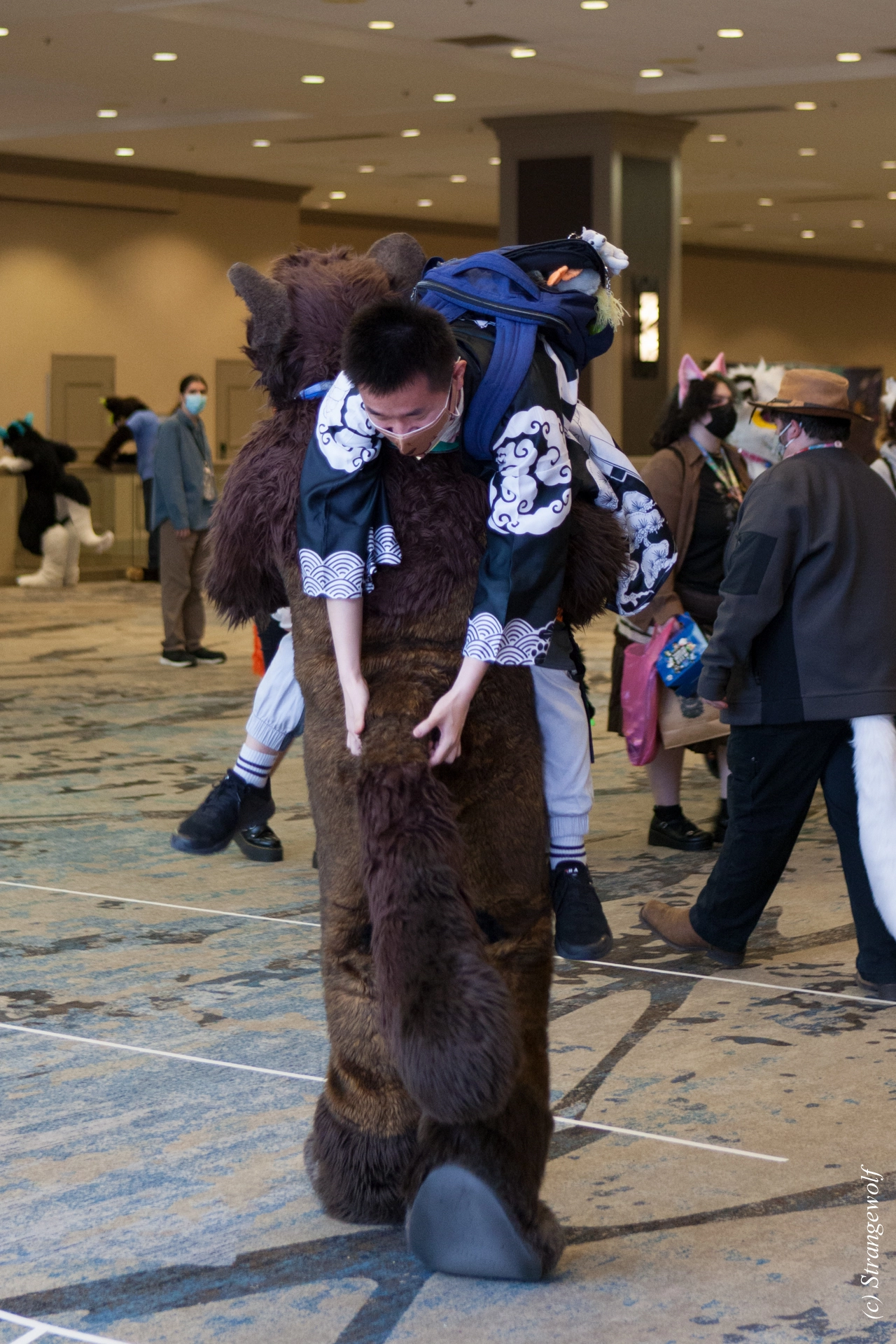 full image IMG_3848-lr19t.jpg