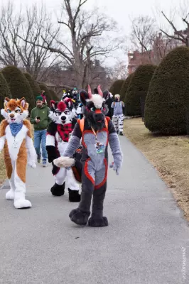 IMG_3184-lr19t.jpg of ANE/ANE2022/Suitwalk/