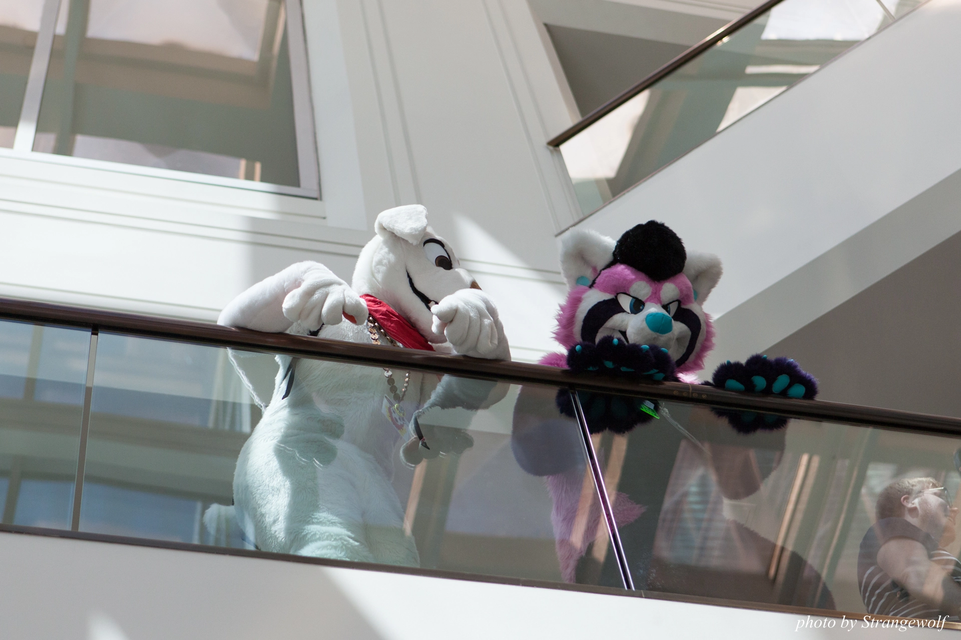 full image IMG_4883-lr19t.jpg